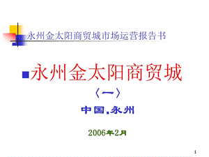 湖南永州金太阳商贸城市场运营报告书.ppt