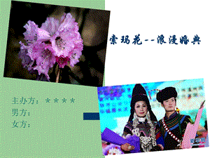 索玛花--浪漫婚典婚礼策划方案(1).ppt