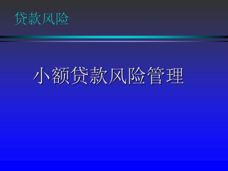 小额贷款风险管理操作实务.ppt_第1页