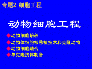 动物细胞工程教学PPT.ppt