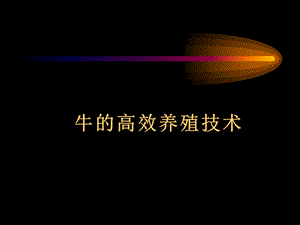 牛的高效养殖技术.ppt