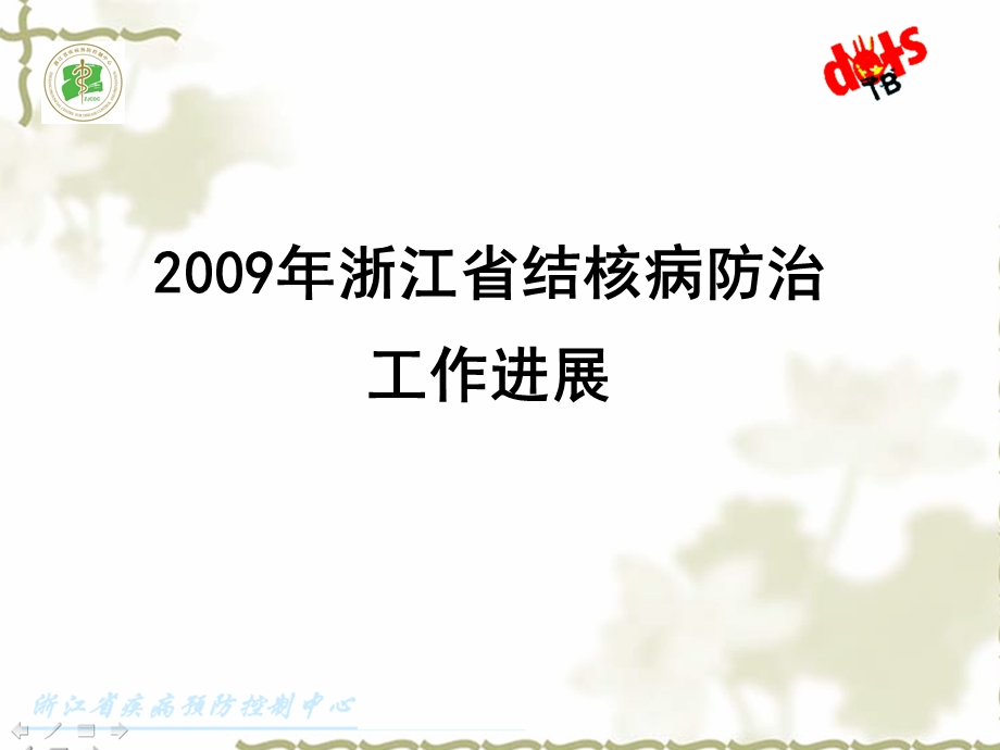 2009年浙江省结核病防治工作进展及2010年工作计划.ppt_第2页