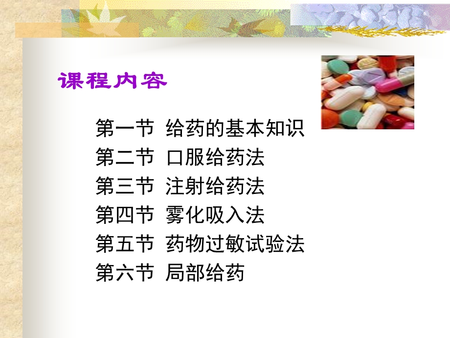 给药.ppt.ppt_第2页