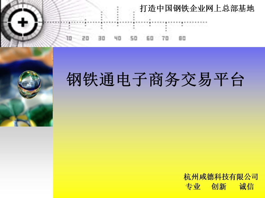 钢铁电子商务网站项目规划.ppt_第1页