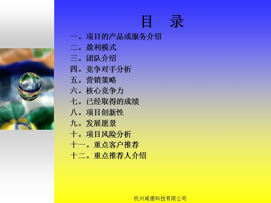 钢铁电子商务网站项目规划.ppt_第2页