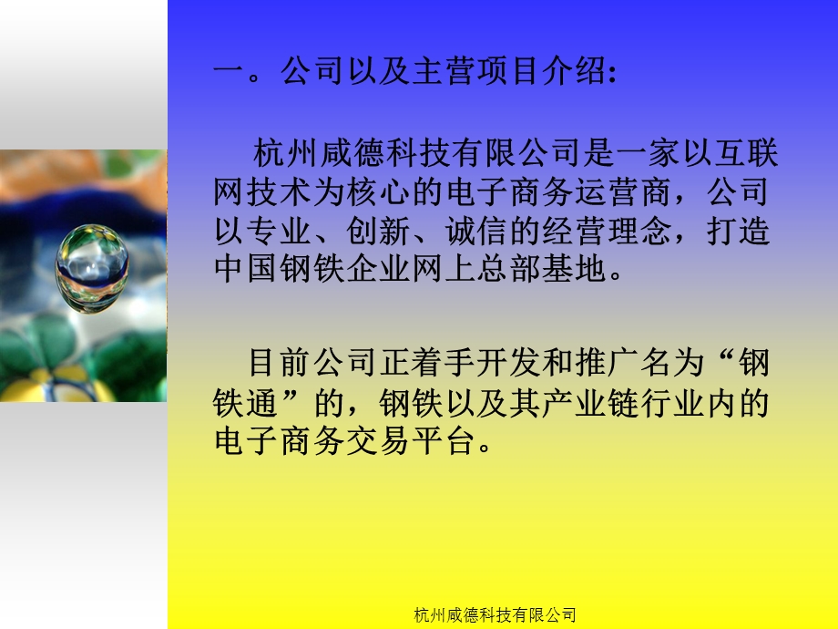 钢铁电子商务网站项目规划.ppt_第3页