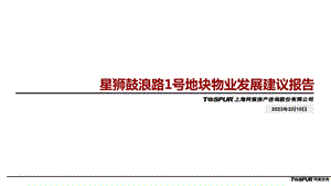 同策2011年上海星狮鼓浪路1号地块物业发展建议报告.ppt