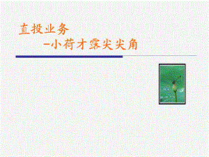 券商直接投资PPT(1).ppt