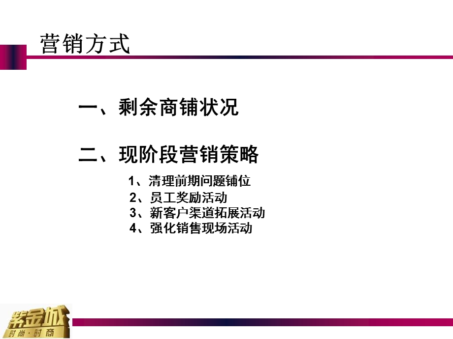 2008年南昌市紫金城商铺营销方案23页 (青苹果)(2).ppt_第2页