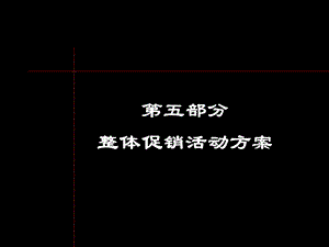 万科上海某整体促销活动方案.ppt