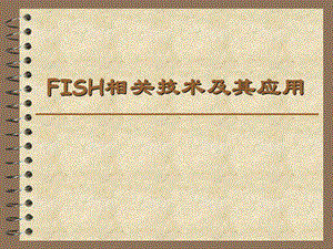 FISH技术及应用.ppt