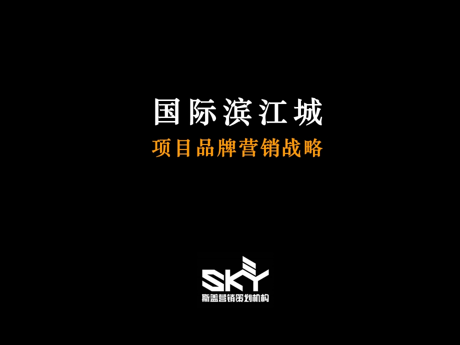 上海国际滨江城项目品牌营销战略.ppt_第1页