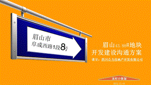 2012眉山43.88地块开发建设沟通方案161P(1).ppt