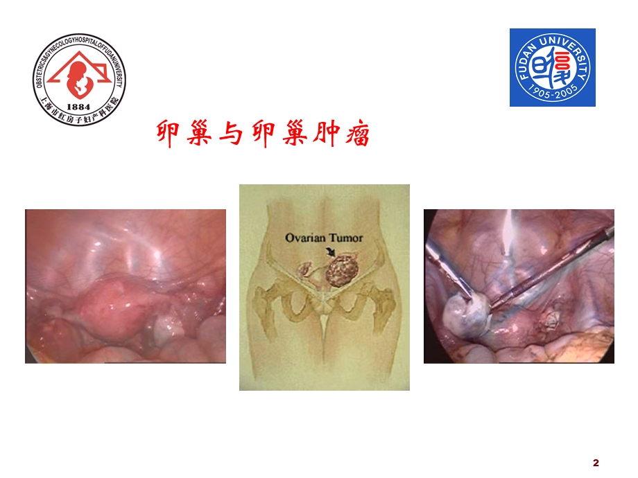 医院教学、科研工作总结(1).ppt_第2页