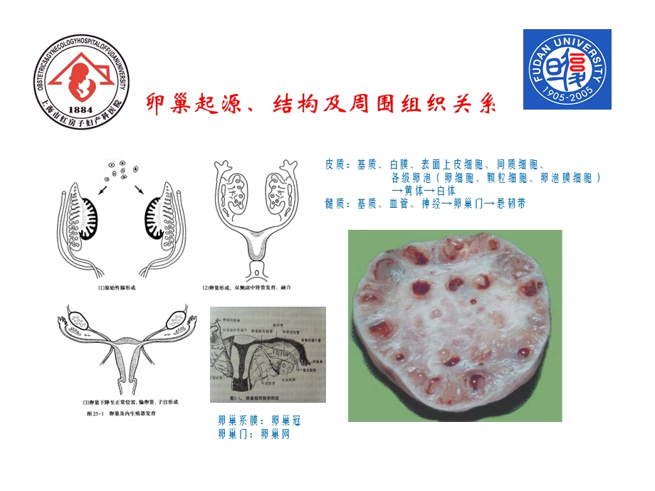 医院教学、科研工作总结(1).ppt_第3页