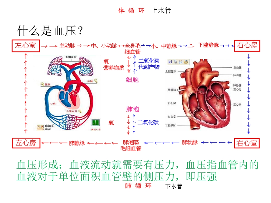 高血压糖尿病夏季养生教育讲座.ppt_第3页