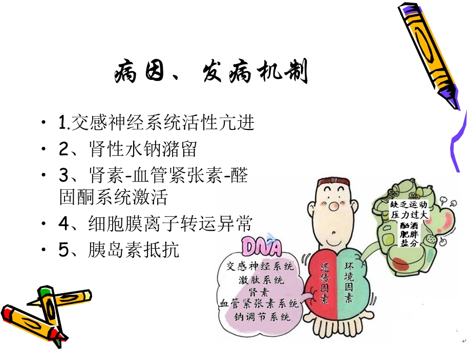 高血压及高血压急症的护理(1).ppt_第3页