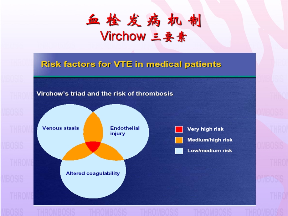 血栓病发病机制及危险因素分层.ppt_第3页