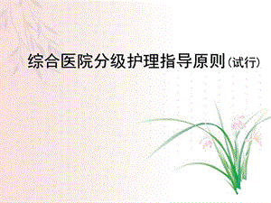 护理系综合医院分级护理指导原则.ppt