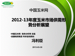 中国玉米网：2012-13年度玉米市场供需形势分析展望.ppt