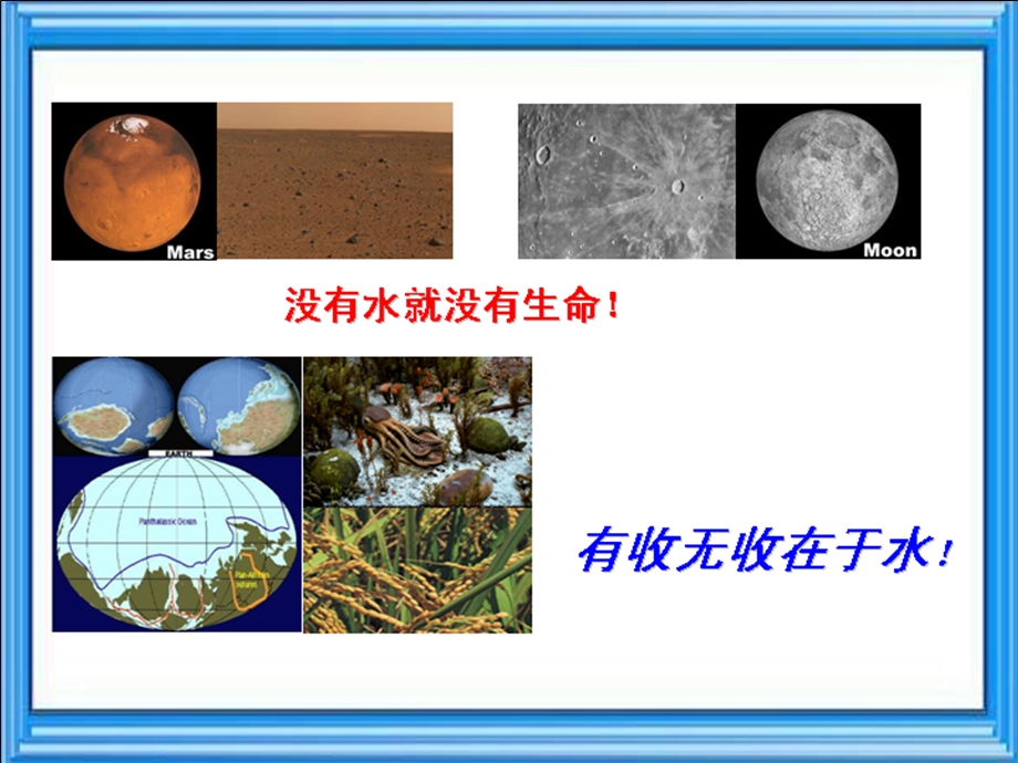 现代植物生理学第四章植物的水分代谢.ppt_第3页