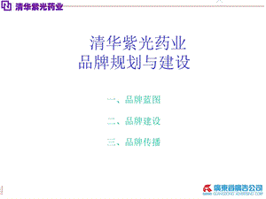 清华紫光药业品牌规划与建设.ppt