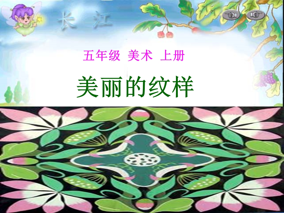 人教小学美术五年级上册《美丽的纹样》课件.ppt_第1页