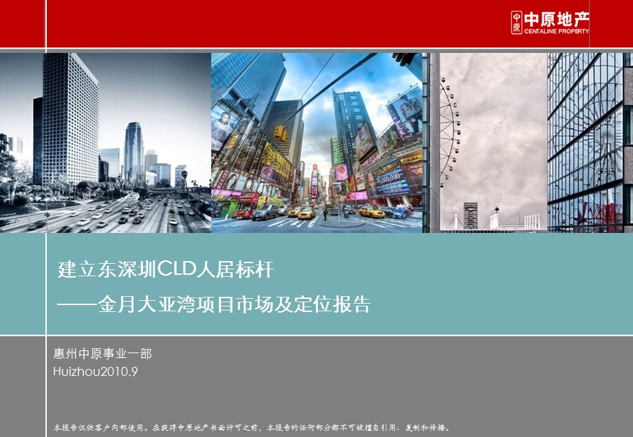 深圳金月大亚湾项目市场及定位报告.ppt_第2页