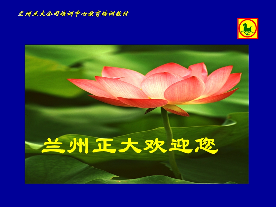 配种舍的饲养管理.ppt_第1页