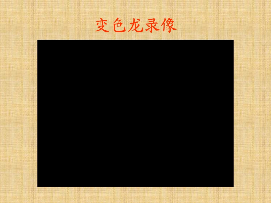 青岛版小学科学六年级上册《变色龙》精品课件.ppt_第3页