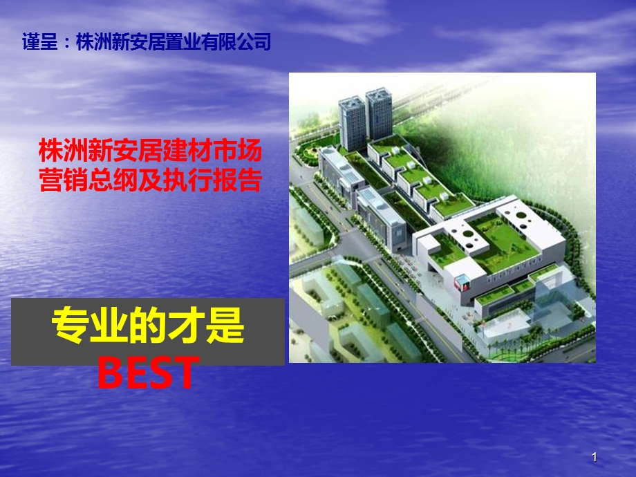 《株洲新安居建材市场营销总纲及执行报告》(88页).ppt_第1页