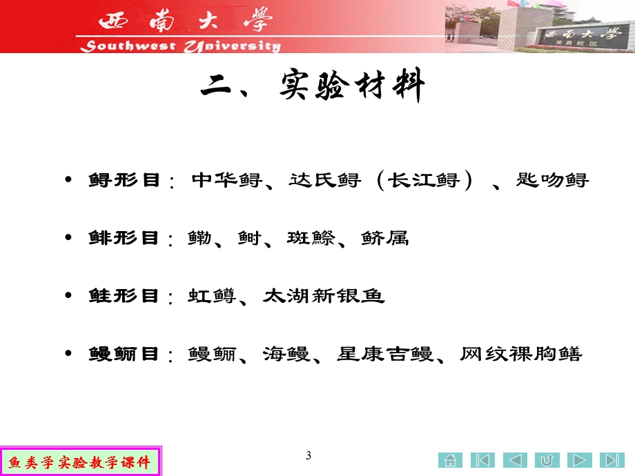 试验六_硬骨鱼纲的分类(一).ppt_第3页