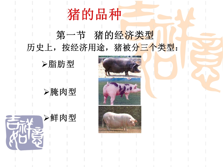 猪的品种3.ppt_第2页