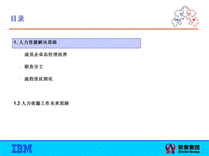 IBM-新奥燃气控股集团—人力资源管理流程框架设计_HR(1).ppt