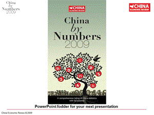 China number 2009-顶级咨询数据(1).ppt