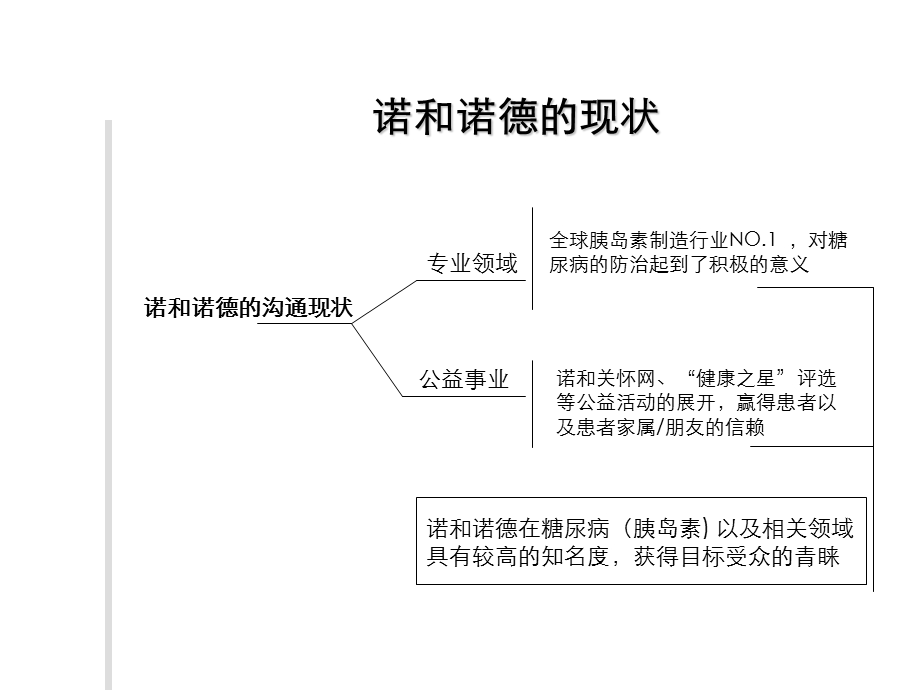 诺和诺德 糖尿病治疗年度推广方案构想.ppt_第2页