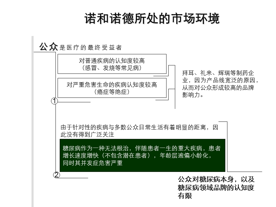 诺和诺德 糖尿病治疗年度推广方案构想.ppt_第3页