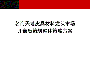 名商天地皮具龙头市场市场开盘后策划整体策略方案(1).ppt