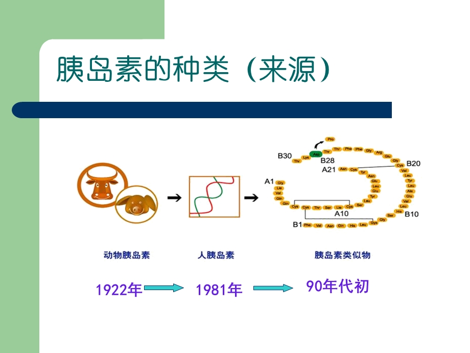 胰岛素的种类和用法最新最完整.ppt_第2页