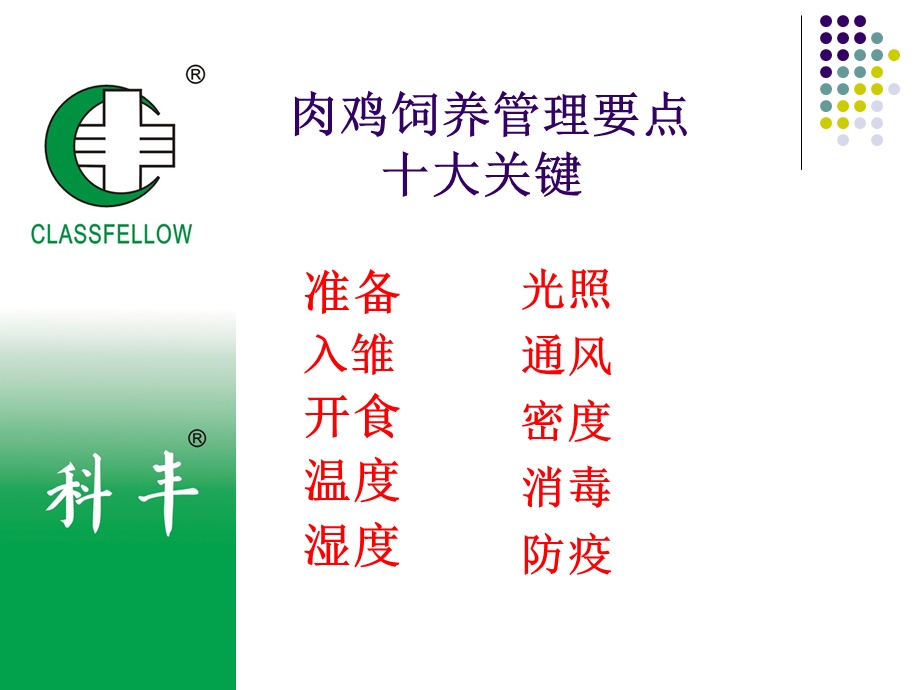 肉鸡饲养管理要点(1).ppt_第2页