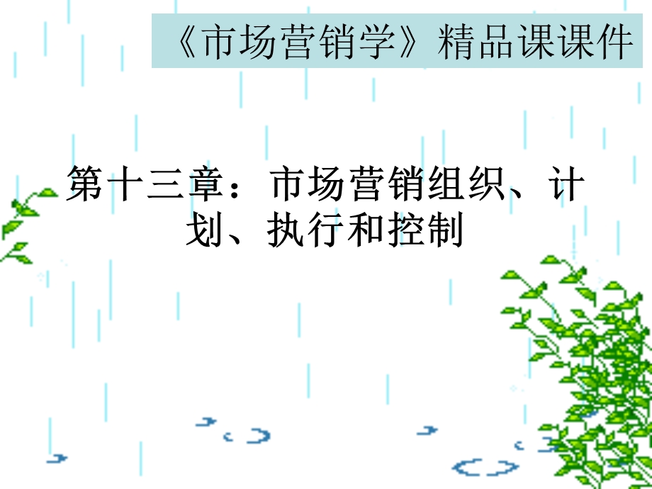 《市场营销学》精品课课件 第十三章：市场营销组织、计划、执行和控制(1).ppt_第1页