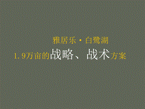 雅居乐白鹭湖1‘9万亩旅游复合地产（全程推广方案含平面）162P(1).ppt