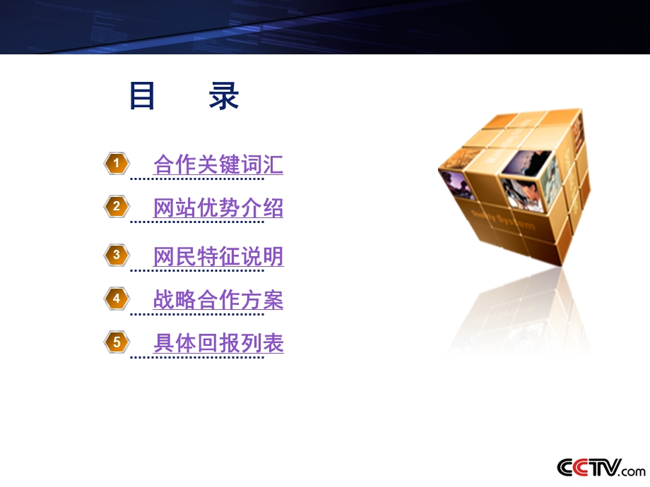 【广告策划-PPT】央视国际品牌企业战略合作方案(1).ppt_第2页