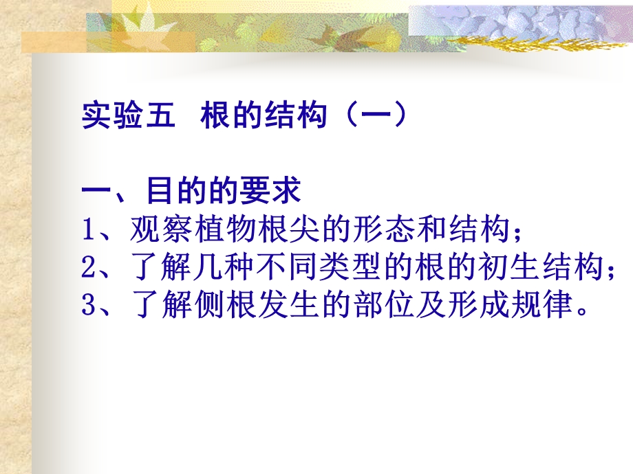 实验五 根的结构（一） 一、目的的要求1、观察植物根尖的形态和结构(1).ppt_第1页