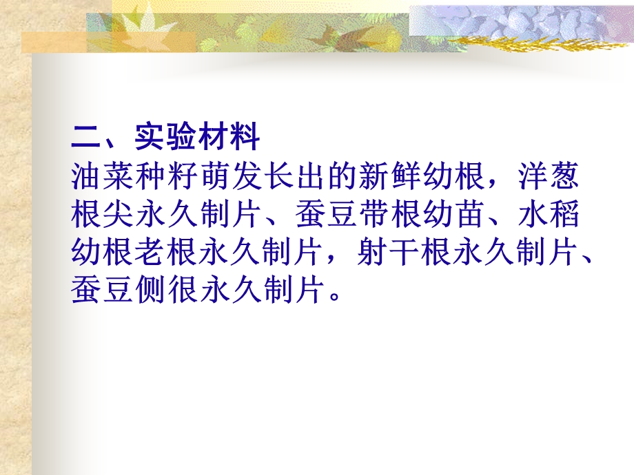 实验五 根的结构（一） 一、目的的要求1、观察植物根尖的形态和结构(1).ppt_第2页