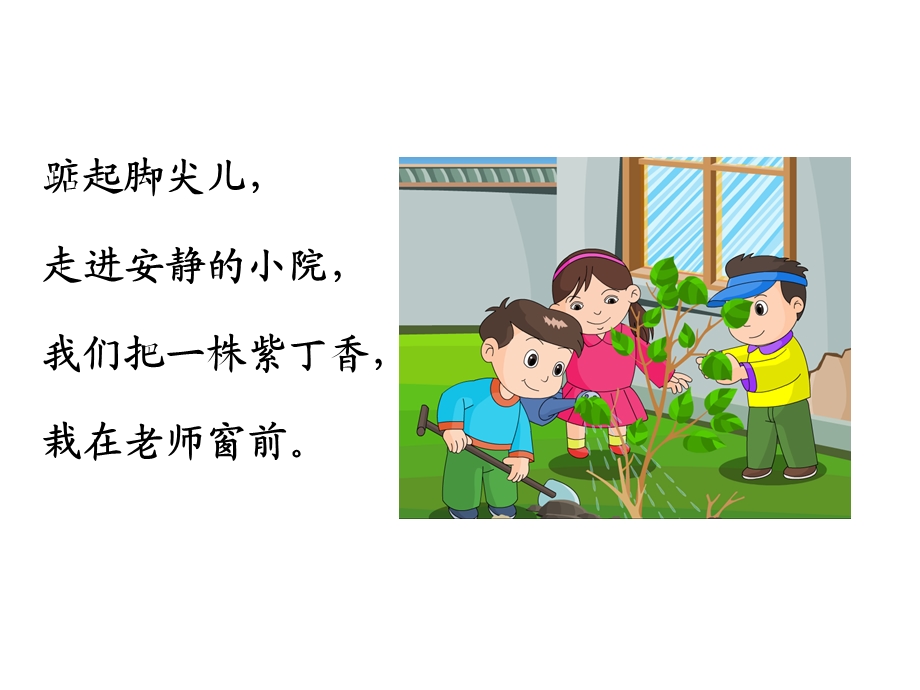 人教版小学语文课件5《一株紫丁香》 .ppt_第3页