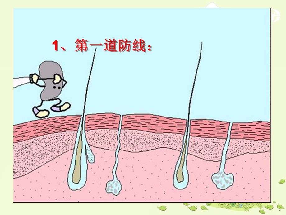 免疫与计划免疫(1).ppt_第3页