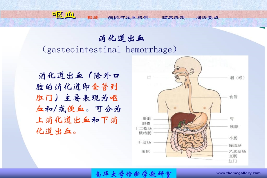 7.呕血便血(1).ppt_第2页