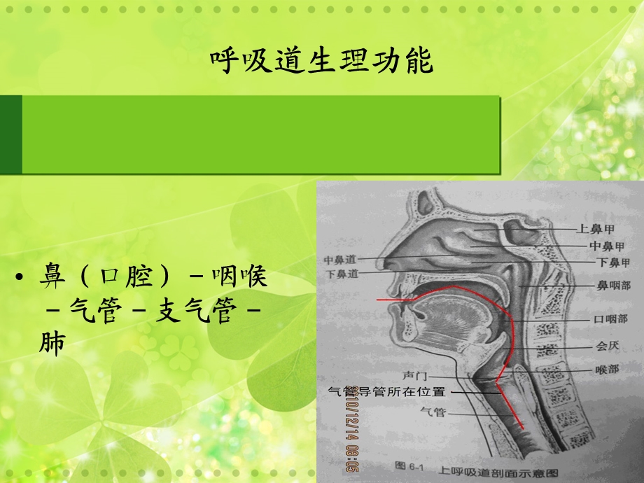 气管切开护理.ppt(1).ppt_第3页