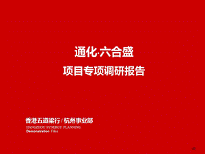 72_4171891_2012年吉林通化·六合盛项目专项调研报告72p.ppt